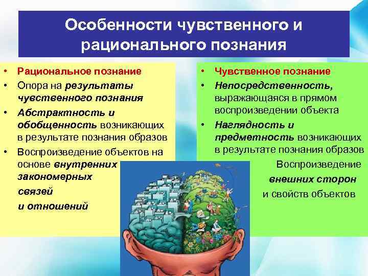 Особенности чувственного и рационального познания • Рациональное познание • Чувственное познание • Опора на