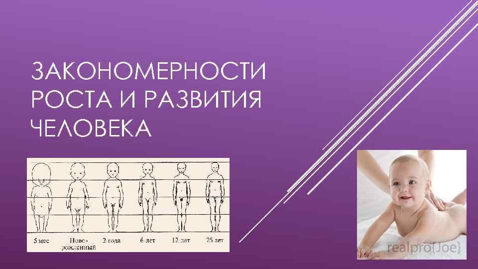 ЗАКОНОМЕРНОСТИ РОСТА И РАЗВИТИЯ ЧЕЛОВЕКА 