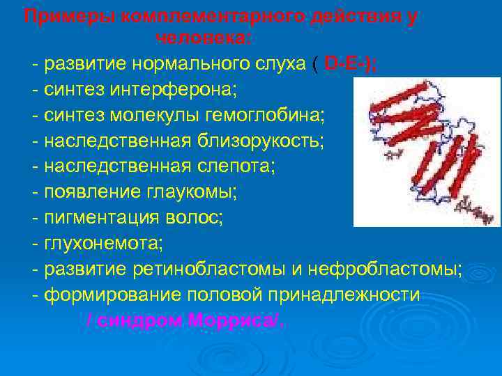 Примеры комплементарного действия у человека: - развитие нормального слуха ( D-E-); - синтез интерферона;