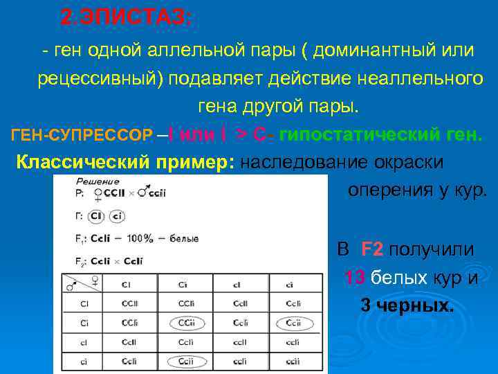 2. ЭПИСТАЗ: - ген одной аллельной пары ( доминантный или рецессивный) подавляет действие неаллельного