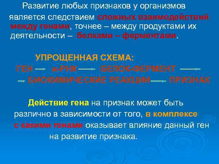 Развитие любых признаков у организмов является следствием сложных взаимодействий между генами, точнее – между