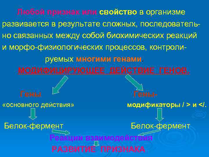 Любой признак или свойство в организме развивается в результате сложных, последовательно связанных между собой