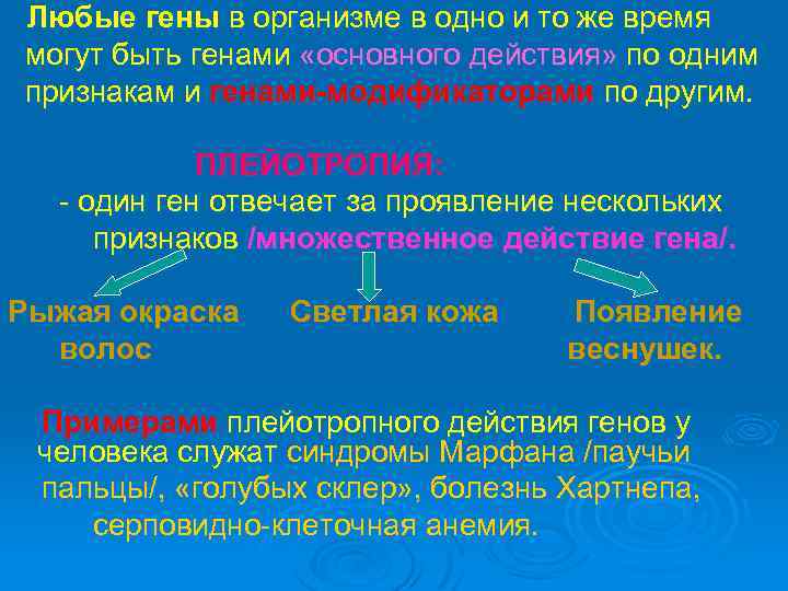 Любые гены в организме в одно и то же время могут быть генами «основного