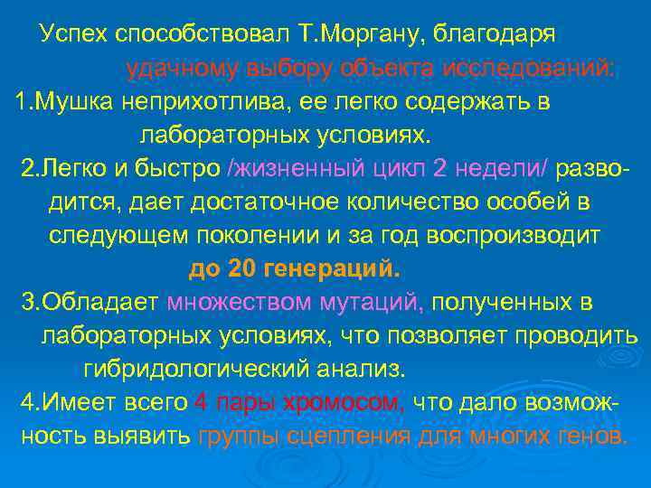 Успех способствовал Т. Моргану, благодаря удачному выбору объекта исследований: 1. Мушка неприхотлива, ее легко