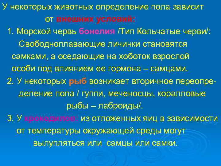 У некоторых животных определение пола зависит от внешних условий: 1. Морской червь бонелия /Тип
