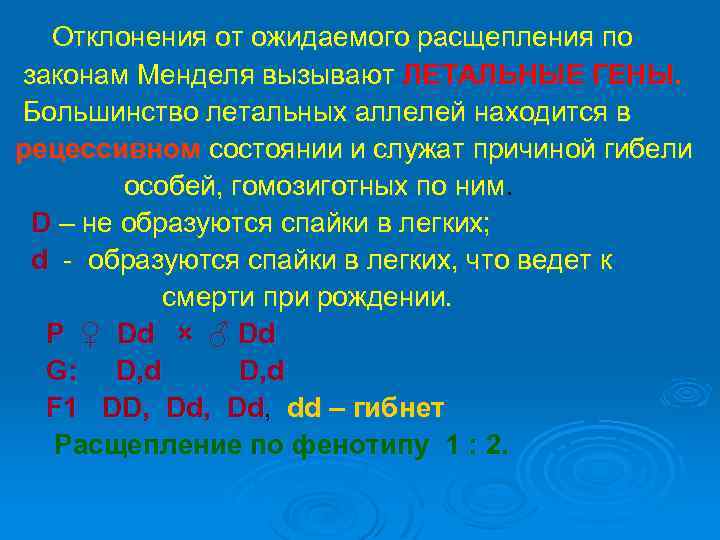 Отклонения от ожидаемого расщепления по законам Менделя вызывают ЛЕТАЛЬНЫЕ ГЕНЫ. Большинство летальных аллелей находится