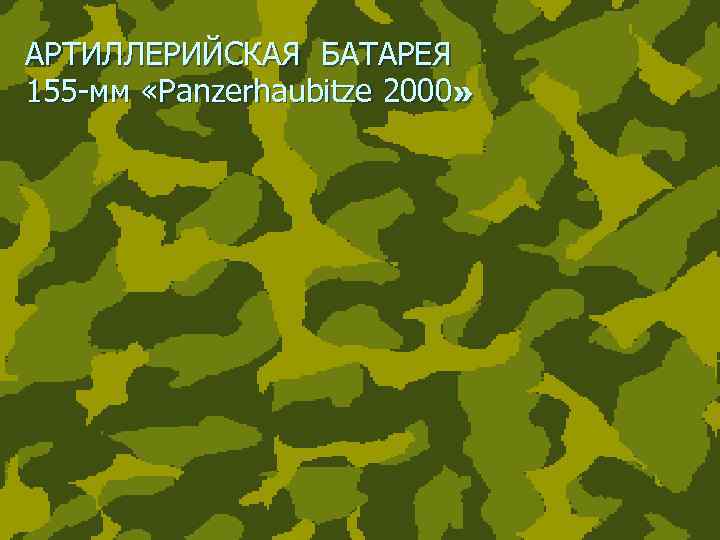 АРТИЛЛЕРИЙСКАЯ БАТАРЕЯ 155 -мм «Panzerhaubitze 2000» 