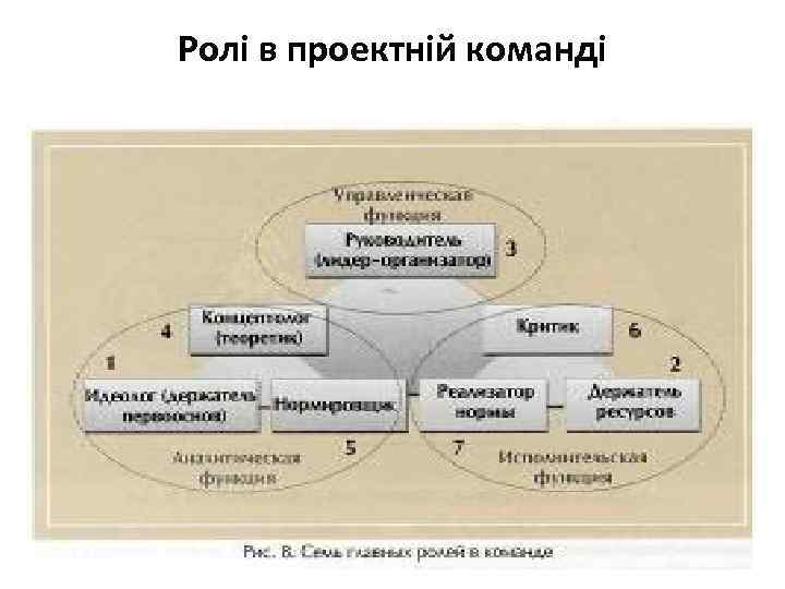 Ролі в проектній команді 