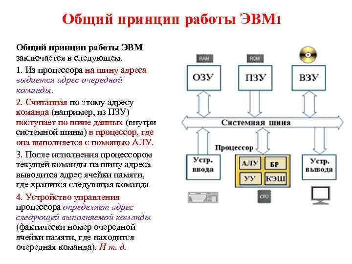 Принцип общего устройства