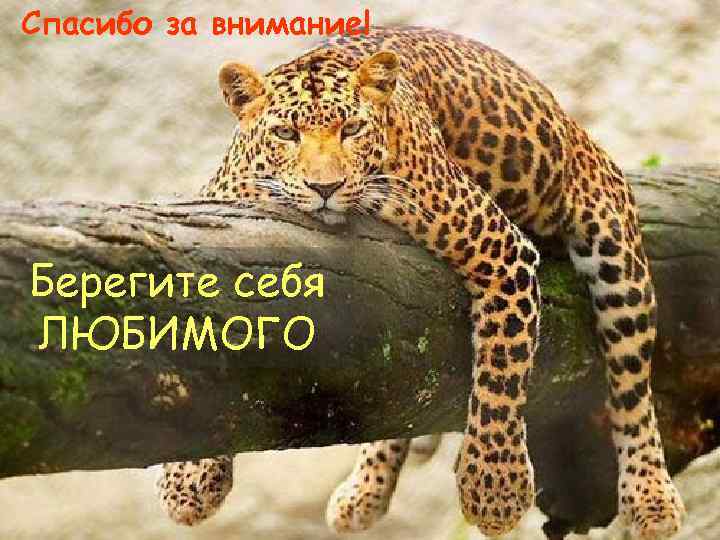 Спасибо за внимание! Берегите себя ЛЮБИМОГО 