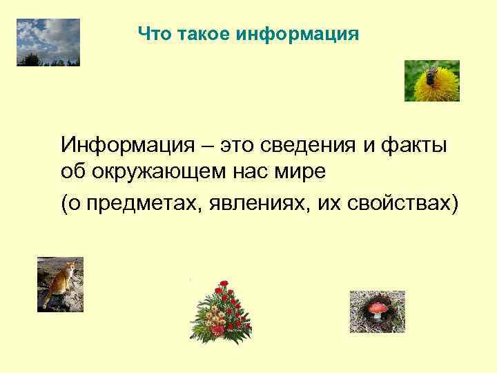 Что такое информация Информация – это сведения и факты об окружающем нас мире (о