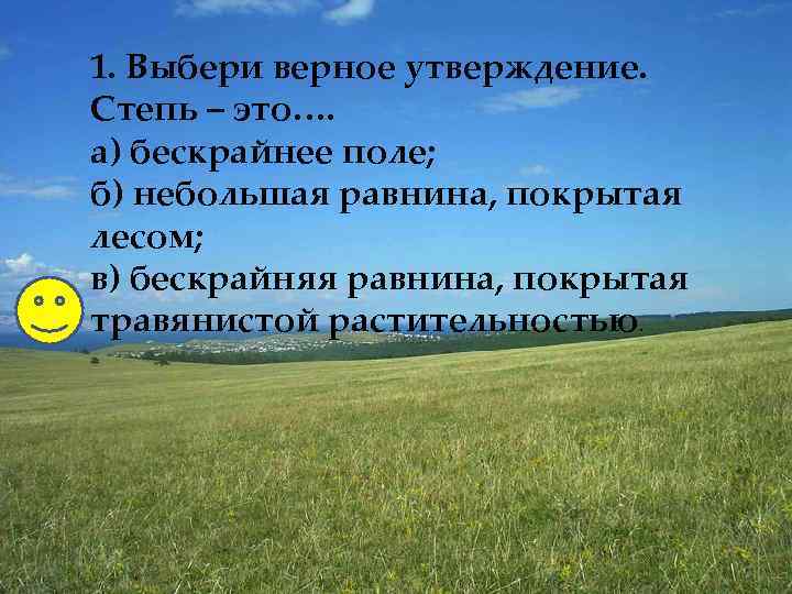 1. Выбери верное утверждение. Степь – это…. а) бескрайнее поле; б) небольшая равнина, покрытая