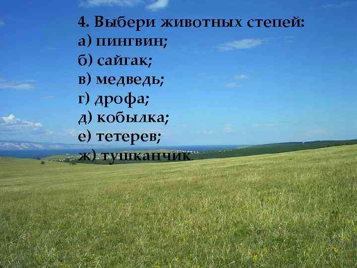 4. Выбери животных степей: а) пингвин; б) сайгак; в) медведь; г) дрофа; д) кобылка;