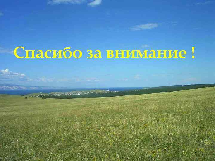 Спасибо за внимание ! 