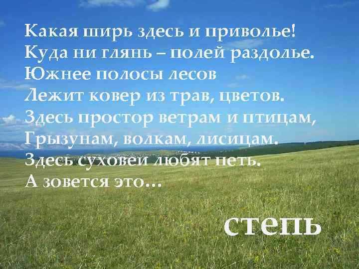 Какая ширь здесь и приволье! Куда ни глянь – полей раздолье. Южнее полосы лесов