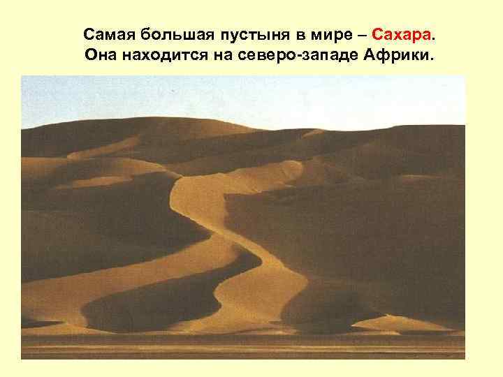 Самая большая пустыня в мире – Сахара. Она находится на северо-западе Африки. 