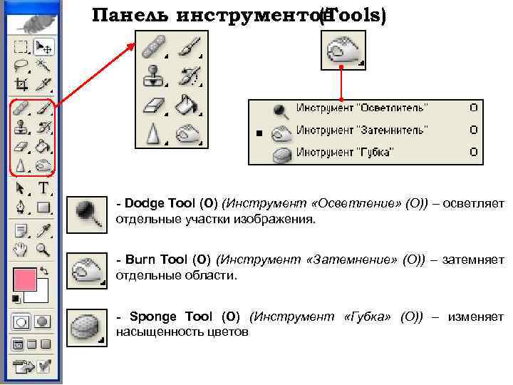 Панель инструментов (Tools) - Dodge Tool (O) (Инструмент «Осветление» (O)) – осветляет отдельные участки