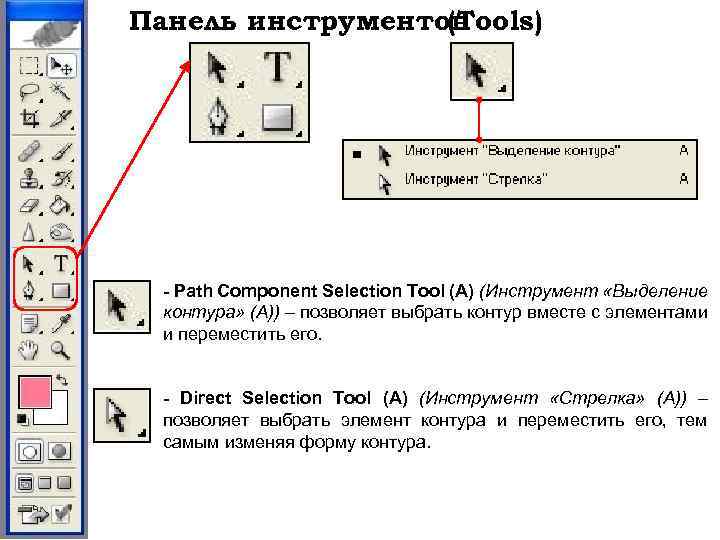 Панель инструментов (Tools) - Path Component Selection Tool (A) (Инструмент «Выделение контура» (A)) –