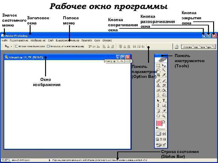 Рабочее окно программы Значок Заголовок системного окна меню Окно изображения Полоса меню Кнопка разворачивания