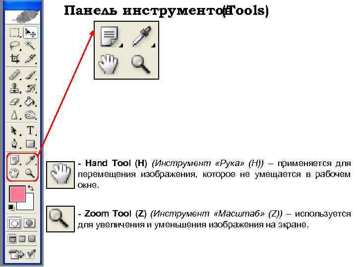 Панель инструментов (Tools) - Hand Tool (H) (Инструмент «Рука» (H)) – применяется для перемещения