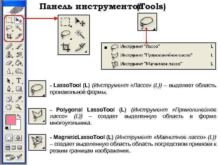 Панель инструментов (Tools) - Lasso. Tool (L) (Инструмент «Лассо» (L)) – выделяет область произвольной