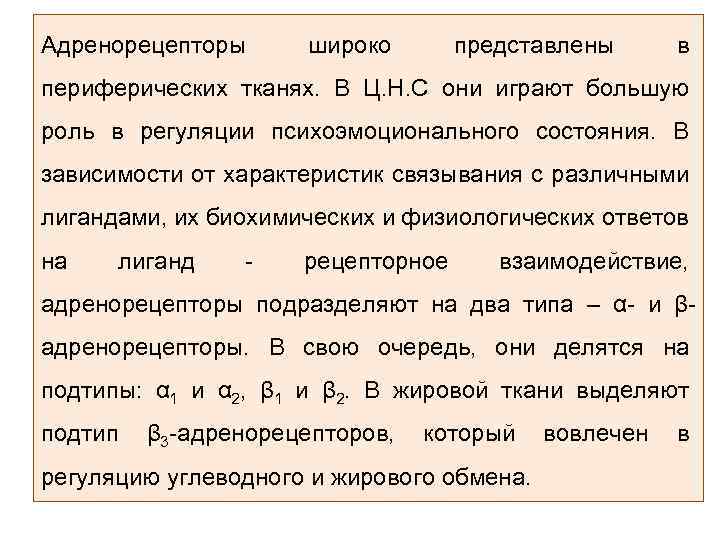 Адренорецепторы широко представлены в периферических тканях. В Ц. Н. С они играют большую роль