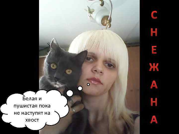 Белая и пушистая пока не наступят на хвост С Н Е Ж А Н