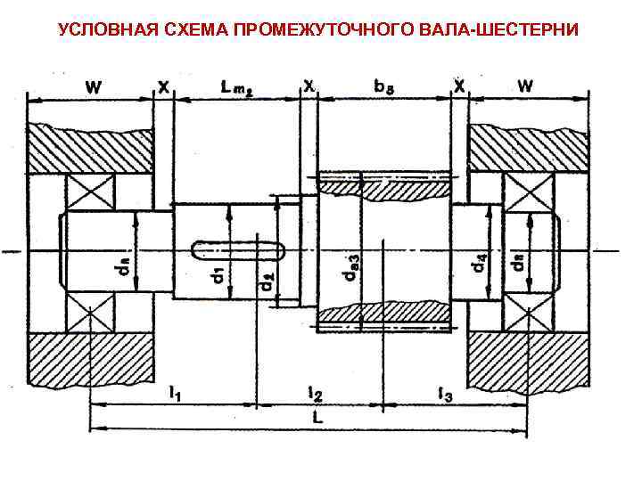 УСЛОВНАЯ СХЕМА ПРОМЕЖУТОЧНОГО ВАЛА-ШЕСТЕРНИ 