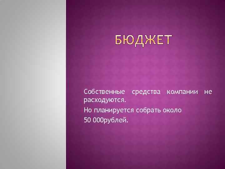 Собственные средства компании не расходуются. Но планируется собрать около 50 000 рублей. 