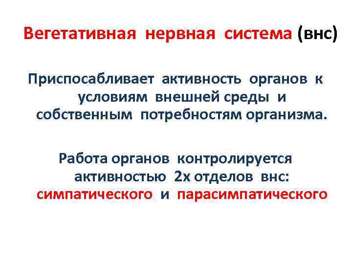 Вегетативная нервная система (внс) Приспосабливает активность органов к условиям внешней среды и собственным потребностям