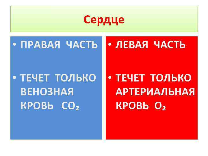 Сердце • ПРАВАЯ ЧАСТЬ • ЛЕВАЯ ЧАСТЬ • ТЕЧЕТ ТОЛЬКО ВЕНОЗНАЯ АРТЕРИАЛЬНАЯ КРОВЬ СО₂