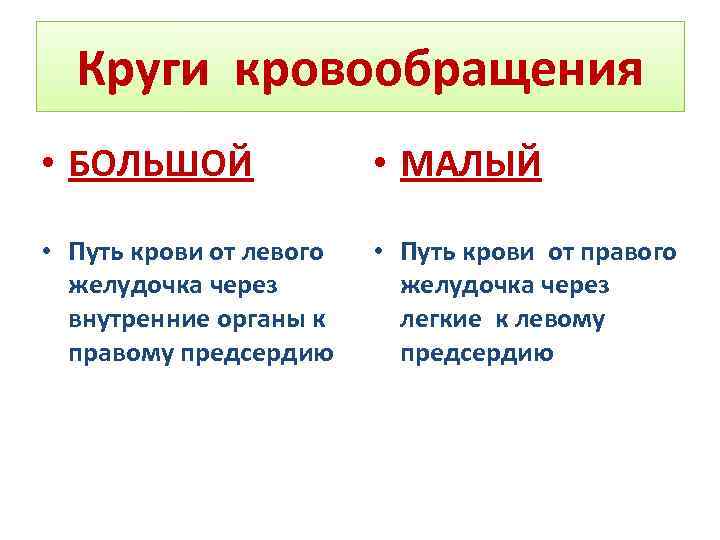 Круги кровообращения • БОЛЬШОЙ • МАЛЫЙ • Путь крови от левого желудочка через внутренние