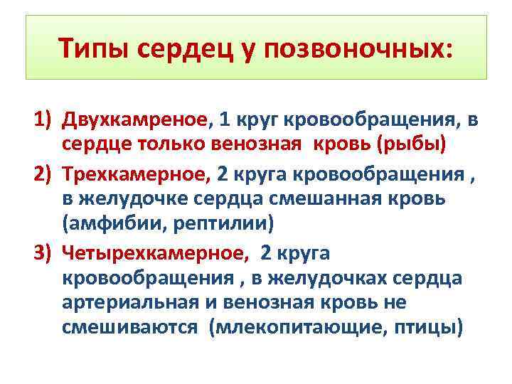 Типы сердец у позвоночных: 1) Двухкамреное, 1 круг кровообращения, в сердце только венозная кровь