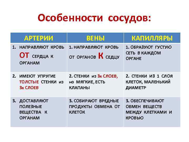 Особенности сосудов: АРТЕРИИ ВЕНЫ 1. НАПРАВЛЯЮТ КРОВЬ КАПИЛЛЯРЫ К СЕДЦУ 1. ОБРАЗУЮТ ГУСТУЮ СЕТЬ