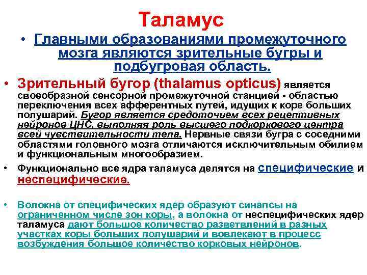 Таламус • Главными образованиями промежуточного мозга являются зрительные бугры и подбугровая область. • Зрительный