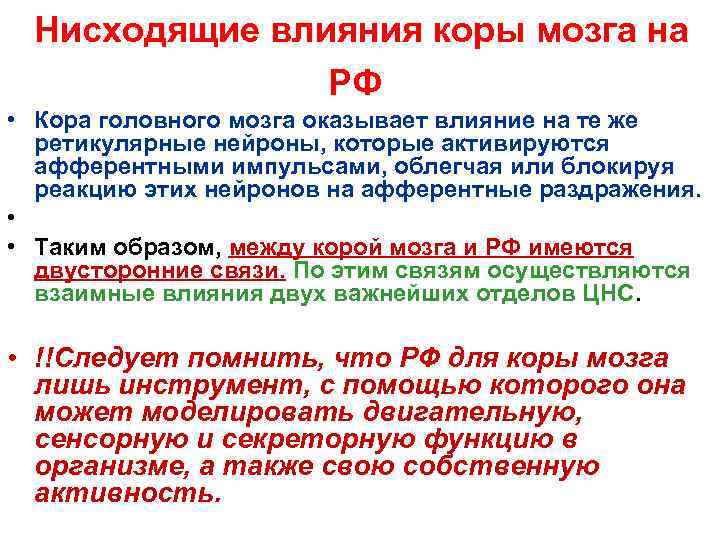Нисходящие влияния коры мозга на РФ • Кора головного мозга оказывает влияние на те