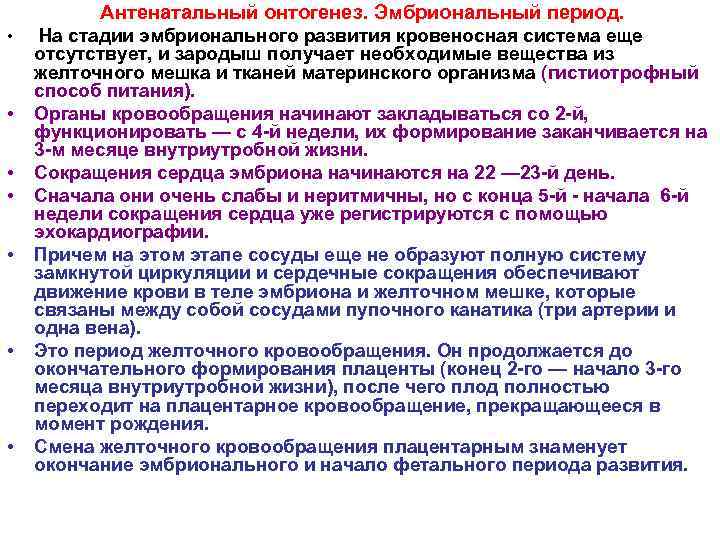 Антенатальный онтогенез. Эмбриональный период. • • На стадии эмбрионального развития кровеносная система еще отсутствует,