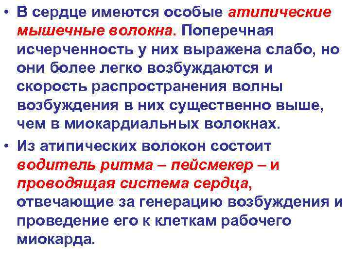  • В сердце имеются особые атипические мышечные волокна. Поперечная исчерченность у них выражена