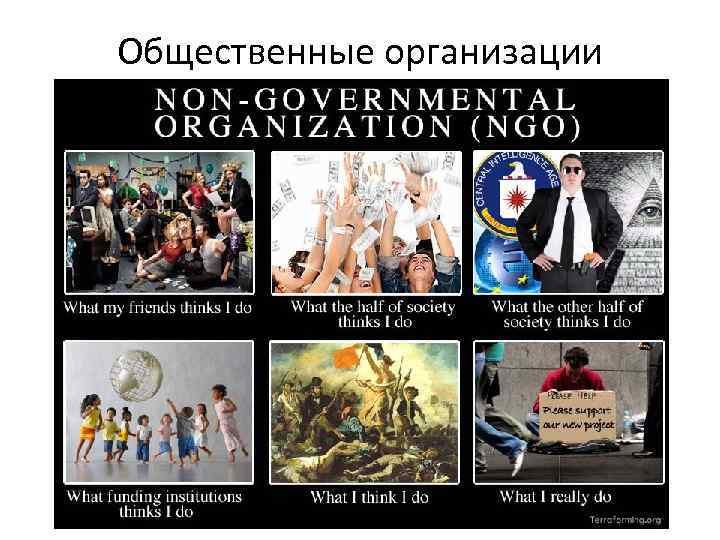 Общественные организации 