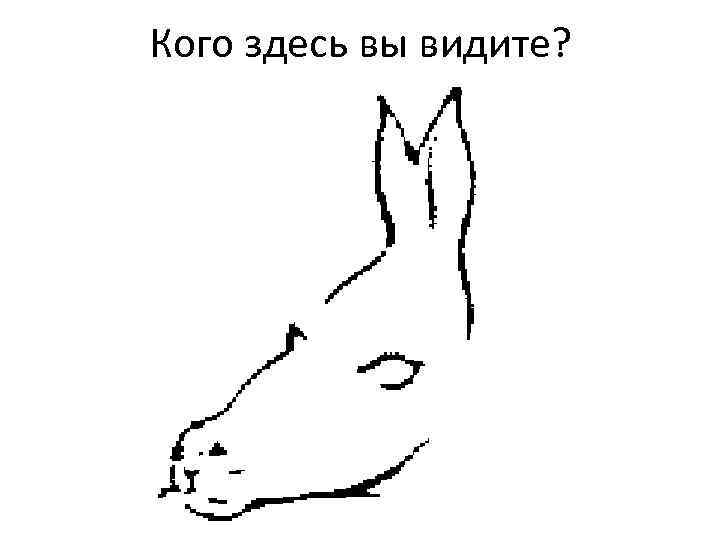 Кого здесь вы видите? 