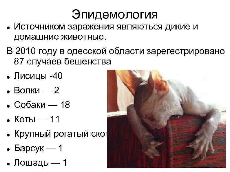 Эпидемология Источником заражения являються дикие и домашние животные. В 2010 году в одесской области