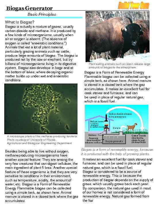 Biogas Generator Basic Principles What Is Biogas? Biogas is actually a mixture of gases,