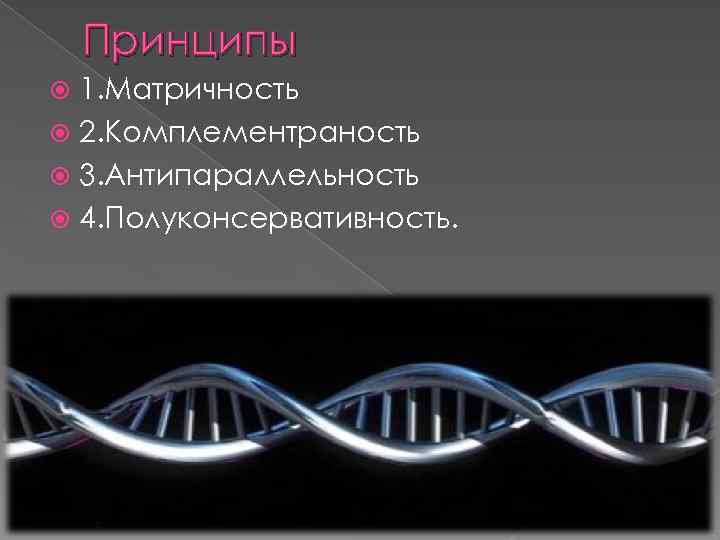 Принципы 1. Матричность 2. Комплементраность 3. Антипараллельность 4. Полуконсервативность. 