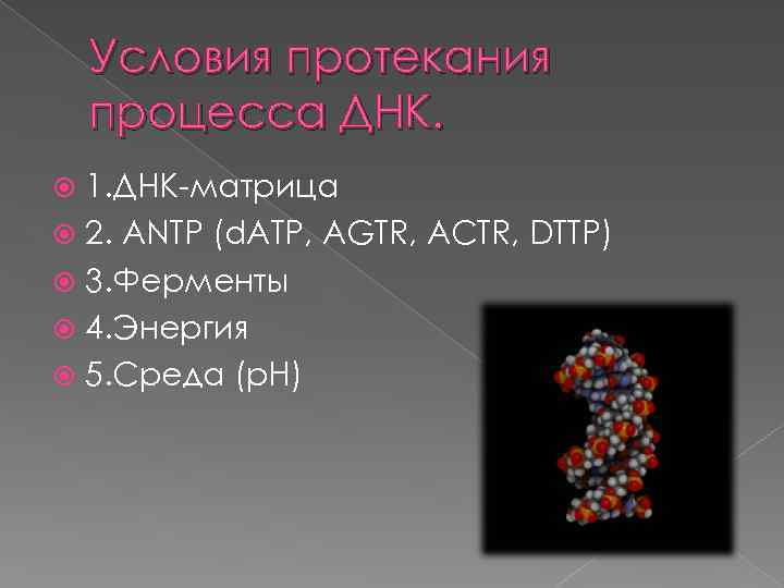 Условия протекания процесса ДНК. 1. ДНК-матрица 2. АNTP (d. ATP, AGTR, ACTR, DTTP) 3.