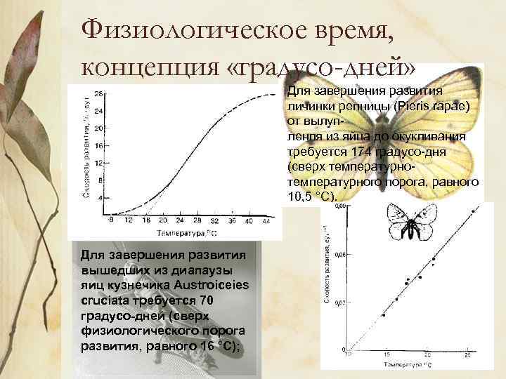 Физиологическое время, концепция «градусо-дней» Для завершения развития личинки репницы (Pieris rapae) от вылуп- ленпя