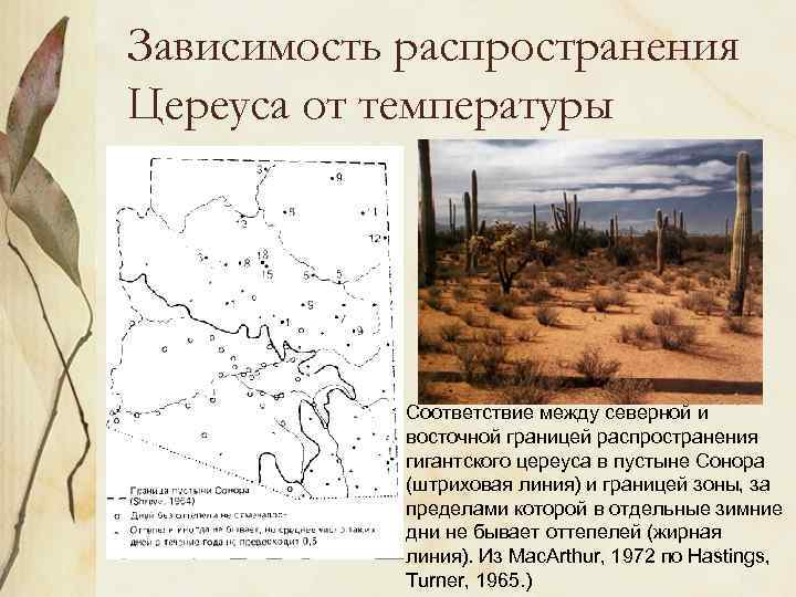 Зависимость распространения Цереуса от температуры Соответствие между северной и восточной границей распространения гигантского цереуса