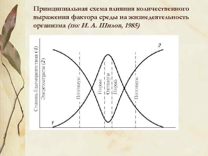 Схема влияния. Схема влияния факторов. Схема влияние факторов среды. Влияние количественного фактора. Влияние факторов среды на жизнедеятельность организмов.