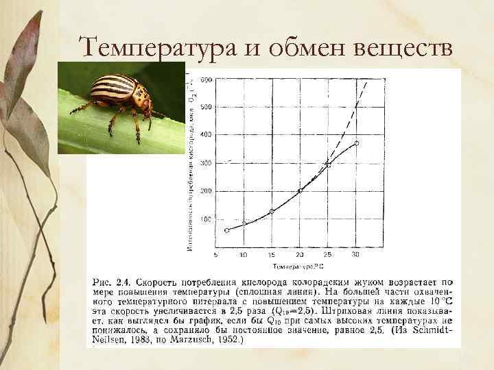 Температура и обмен веществ 