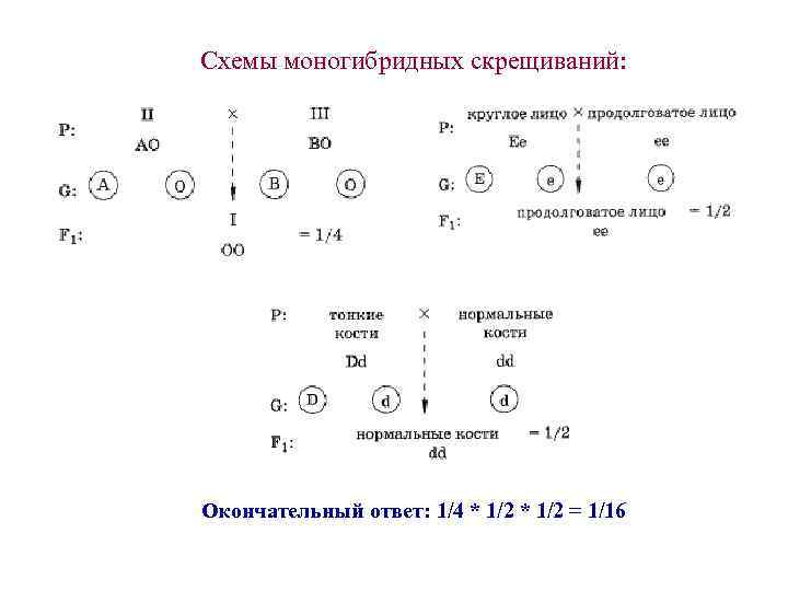 Схемы моногибридных скрещиваний: Окончательный ответ: 1/4 * 1/2 = 1/16 