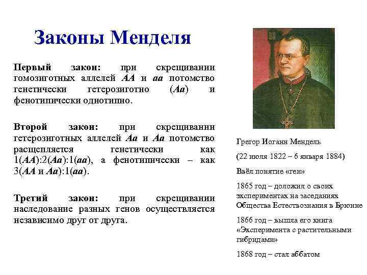 Законы Менделя Первый закон: при скрещивании гомозиготных аллелей AA и aa потомство генетически гетерозиготно